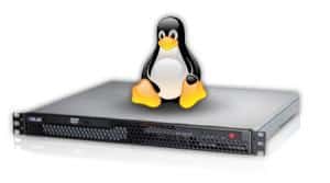 Managed Linux VPS