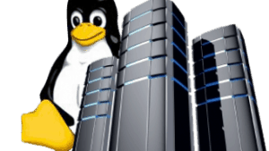 Linux VPS server