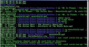 Linux Shell commands