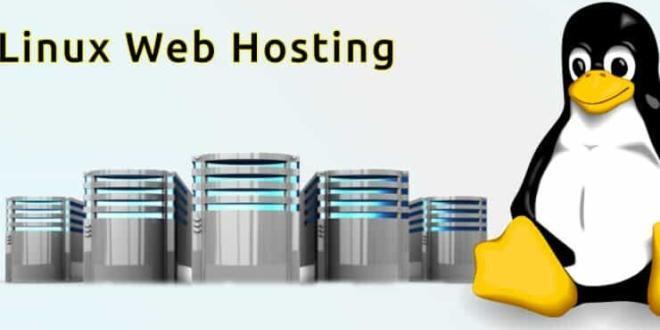 Why Linux VPS is a good option to host your website